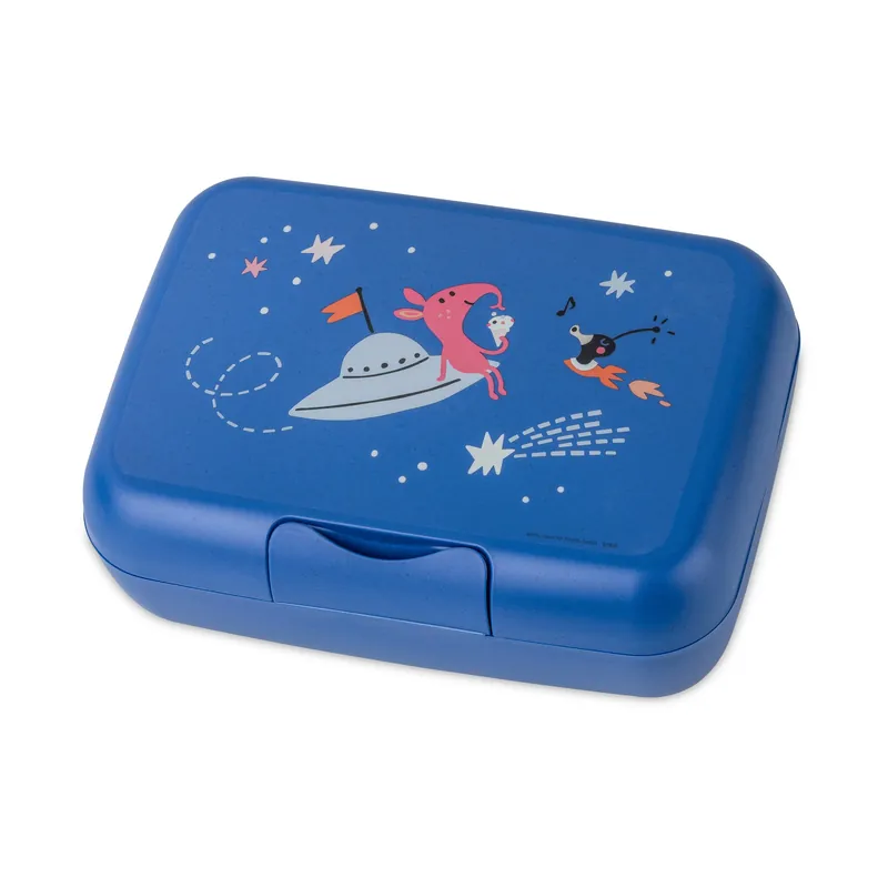 Candy lunch box L, Harry Same Day Shipping