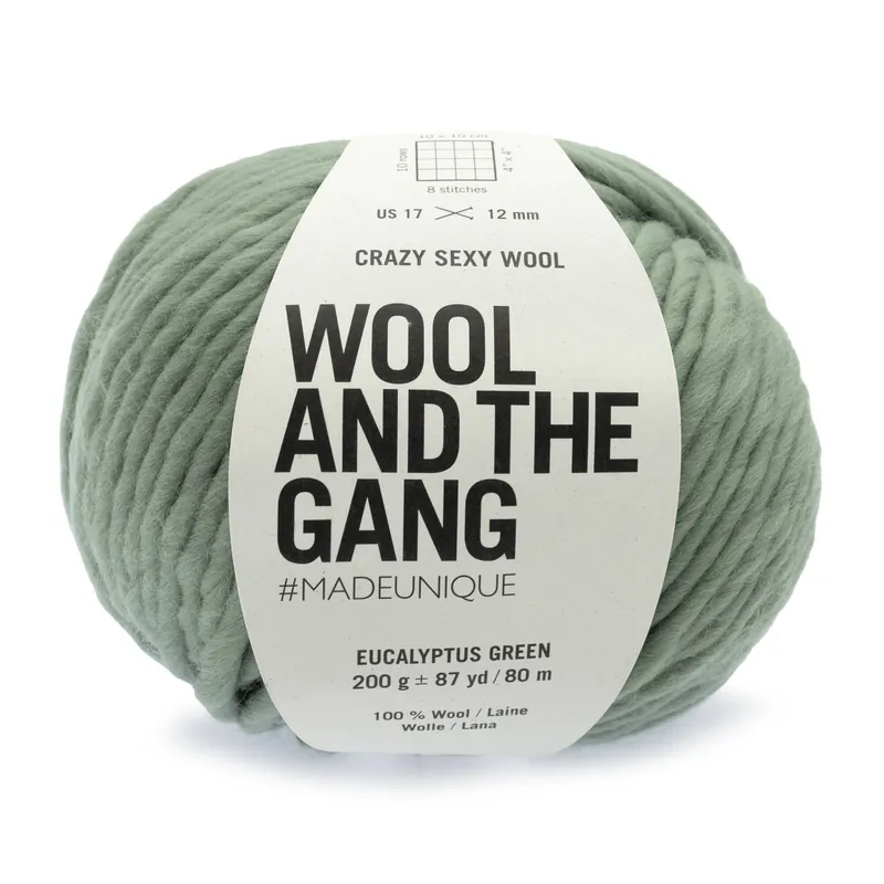 Today Only Wool and the Gang Eucalyptus Green Crazy Sexy Wool 200g