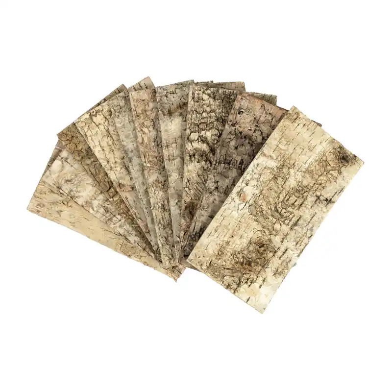 Buy Online Birch Bark Bundle 10 Pack