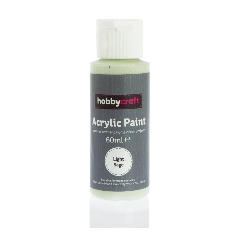 Express Delivery Light Sage Acrylic Craft Paint 60ml