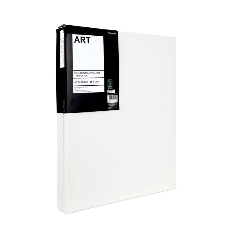 Stretched Canvas 45.7cm x 35.5cm 3 Pack Next Day Delivery