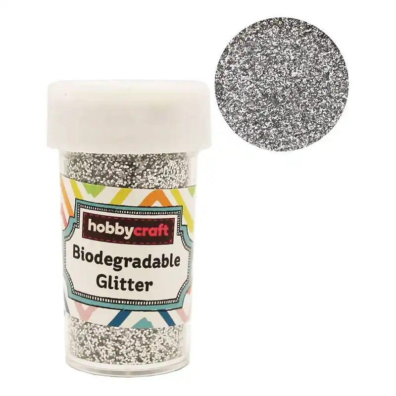 Silver Biodegradable Glitter Shaker 20g Buy Direct