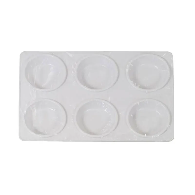 Seasonal Sale Daler-Rowney Paint Tray 6 Wells