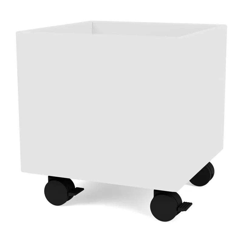Colour Box I – S6161, New white Free Returns