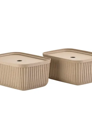 Buy Direct Pulp storage box 23x32 cm 2-pack, Black