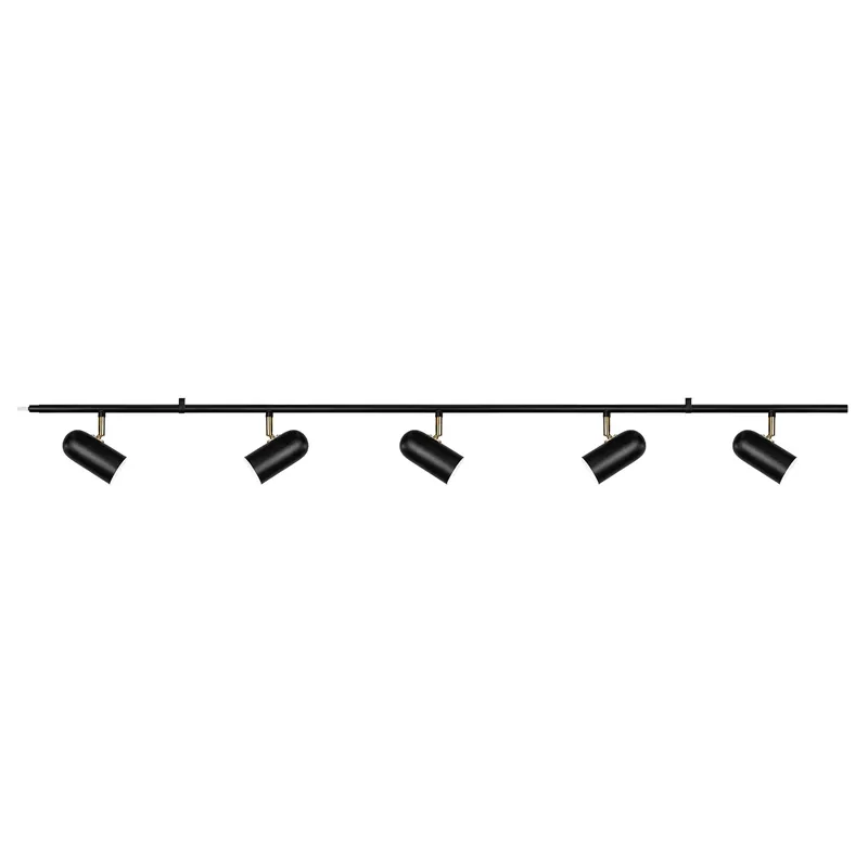Certified Swan 5 ceiling lamp, black