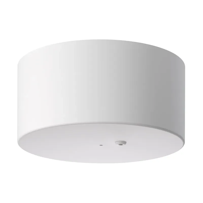 Grab Now My Disc ceiling cup, Matte white