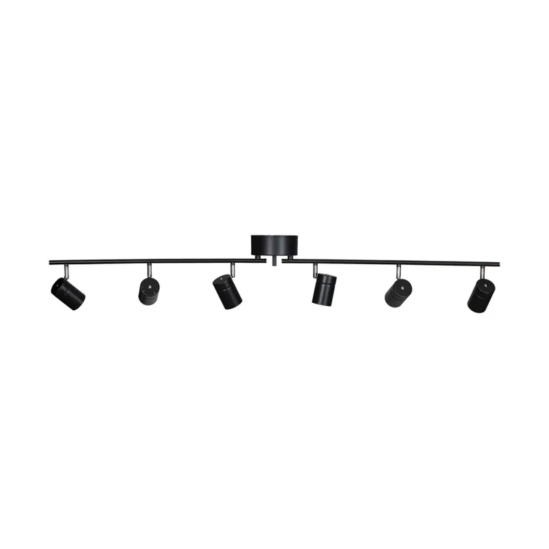 Professional Grade Correct 6 Ceiling Spotlight 124 cm, Matte black