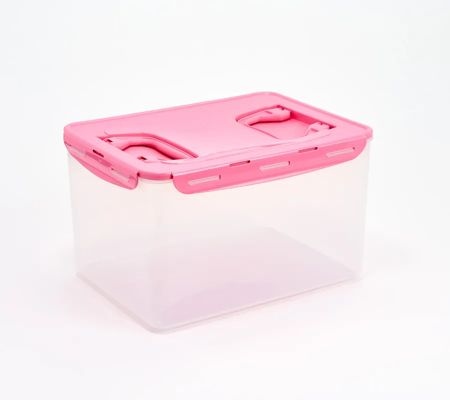 No Minimum Order LocknLock XL Multi-Function Storage Container with Handles