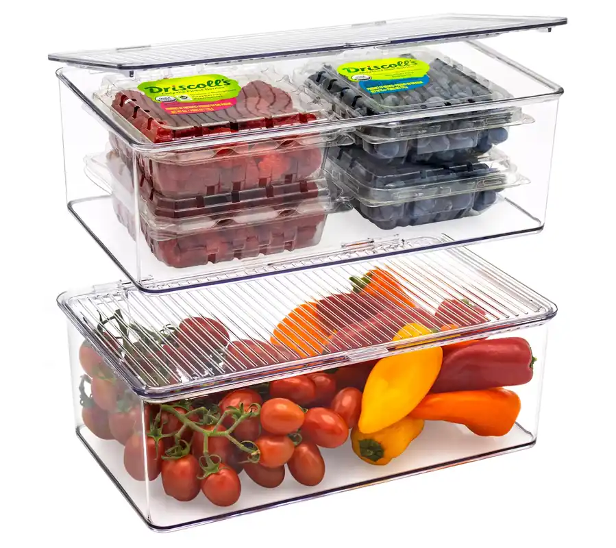 Viral Sorbus Set of 2 Fridge Storage Bins with Hinged Lids