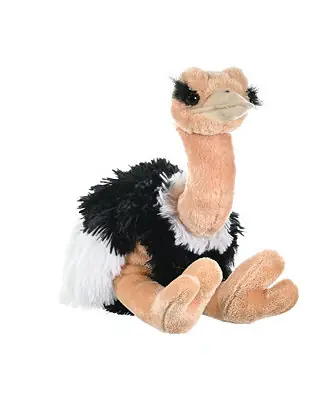 Cuddlekins Ostrich Stuffed Animal, 12 Inches Factory Price