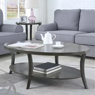 Contemporary Oval Shelf Coffee Table Bargain