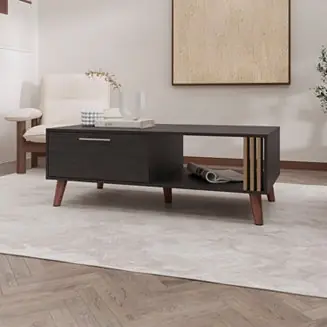 New Release Govan Coffee Table with a Door, Conical Legs, and Open Storage, Wengue