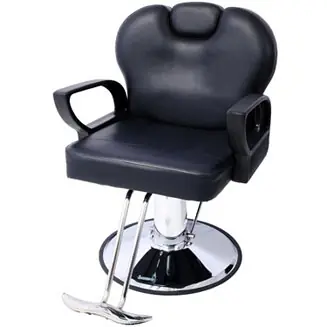 Artist Salon Chair Comfort, Adjustability, Stability One Day Deal